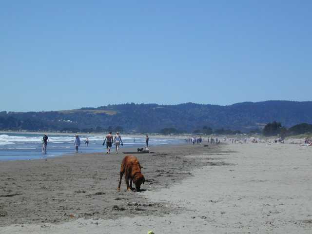DSCN7284.jpg