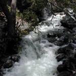 DSCN7128.jpg