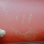 DSCN7167.jpg