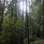 dscn4863