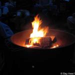 IMG_1461.jpg