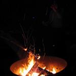 IMG_1466.jpg