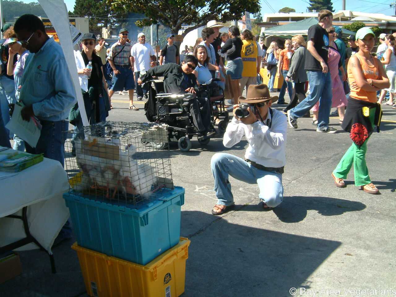 DSCF0031.jpg