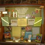 Display1.jpg