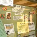 Display3.jpg