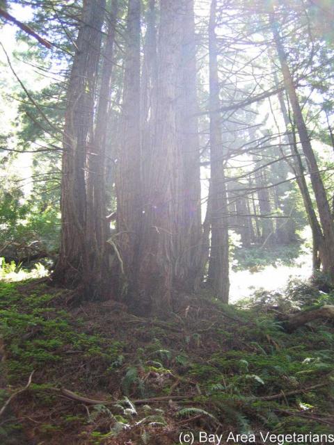 IMG_0793.jpg