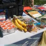 IMG_2772.jpg