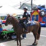 IMG_2778.jpg
