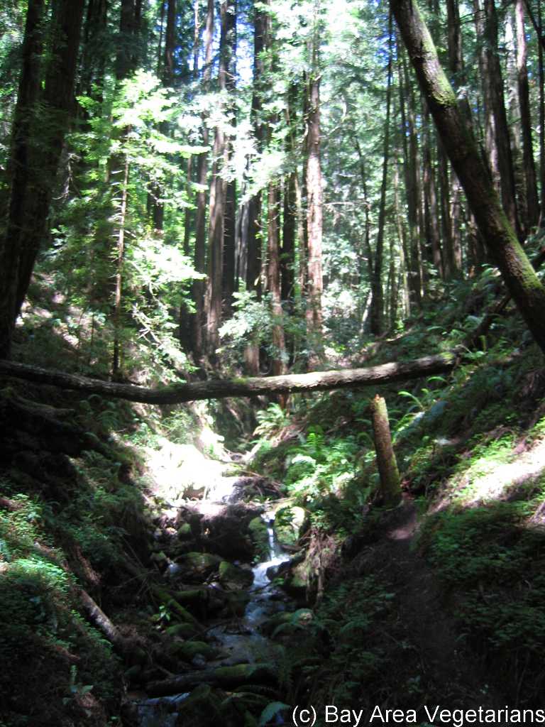 IMG_0803.jpg