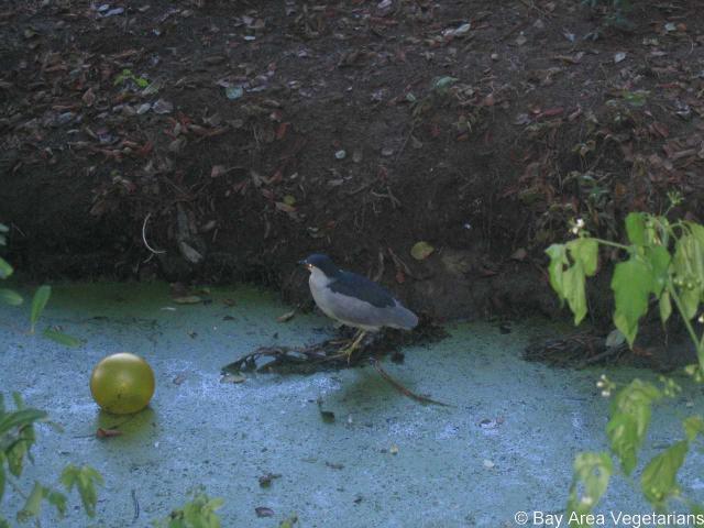 IMG_3834.jpg