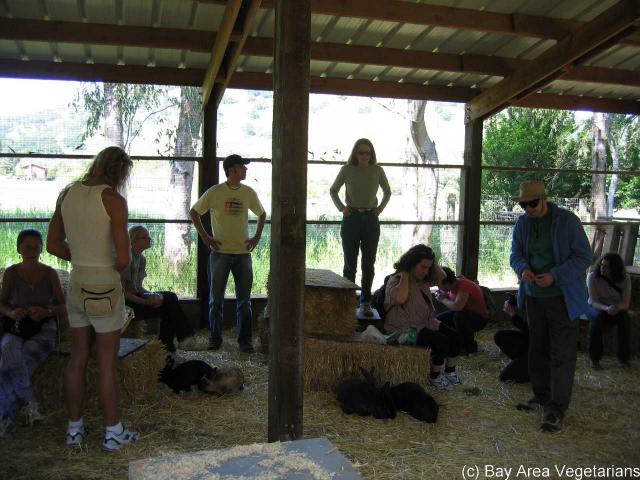 IMG_0024.jpg