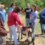 IMG_5188.jpg