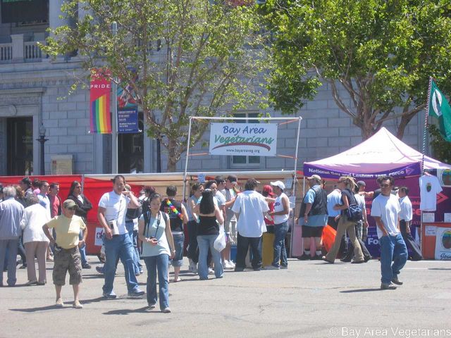 IMG_6485.jpg