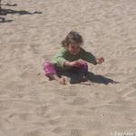 Veggie-powered sand travel