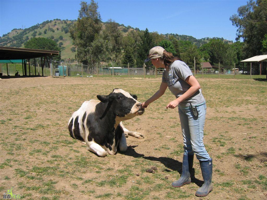 Sadie and Marji