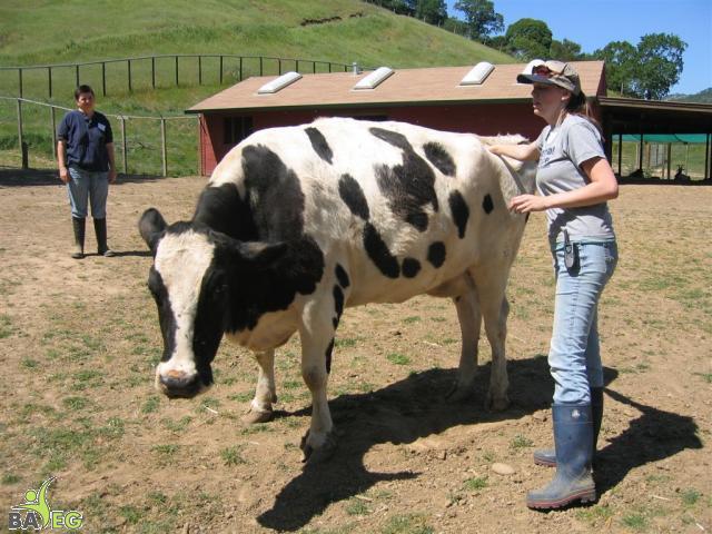 Sadie and Marji