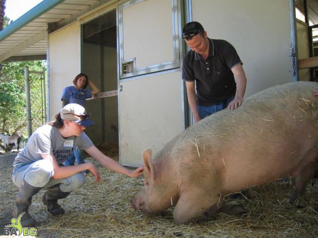 Marji, Chester, and Mike