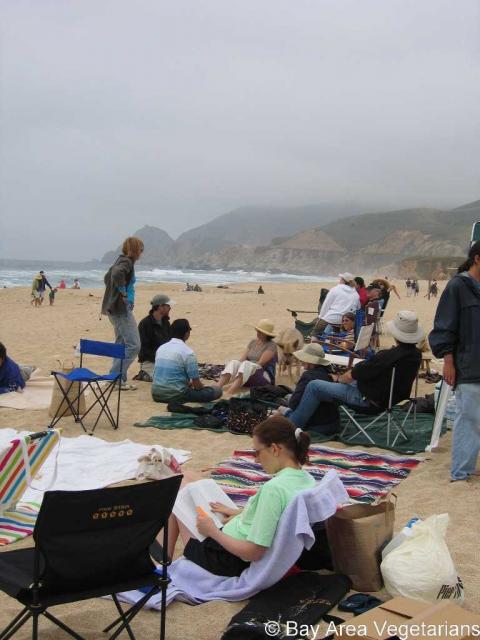 IMG_1084.jpg