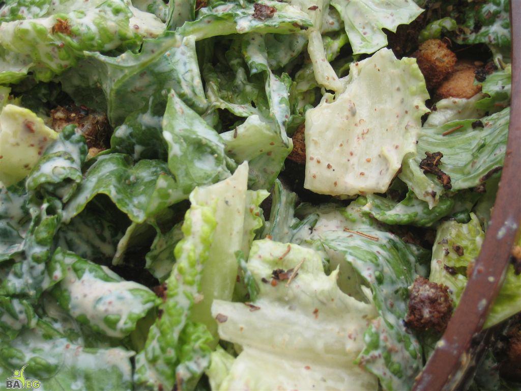 Green Salad