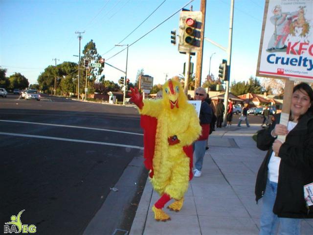 Chicken Needs Help!