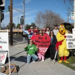 Protesting KFC Cruelty - Boycott KFC