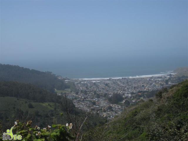 View of Pacifica and Ocean from San Pedro Valley Park, Pacifica