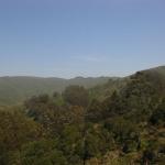 View from the trail