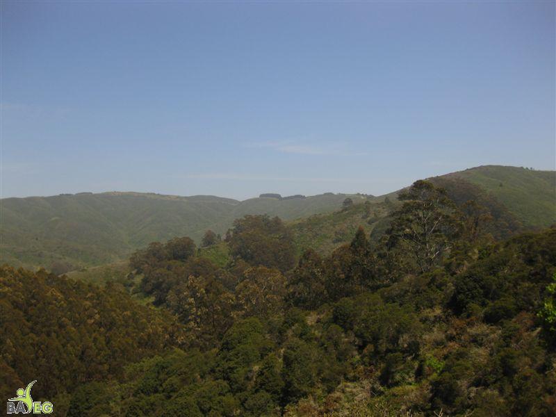 View from the trail