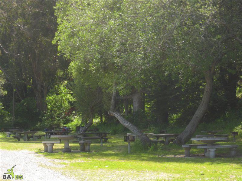 Drop-in picnic grounds