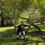 Herbivore hanging out at the park