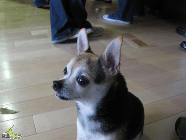 Reggie