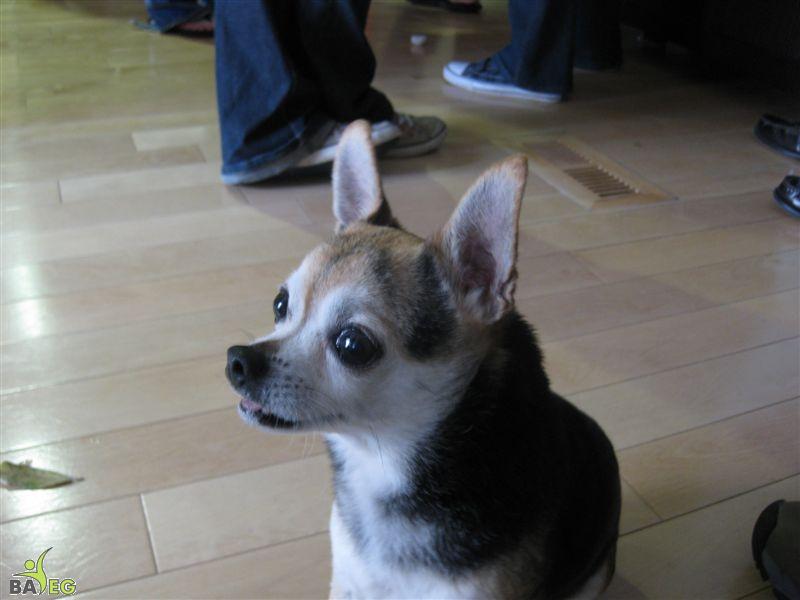 Reggie