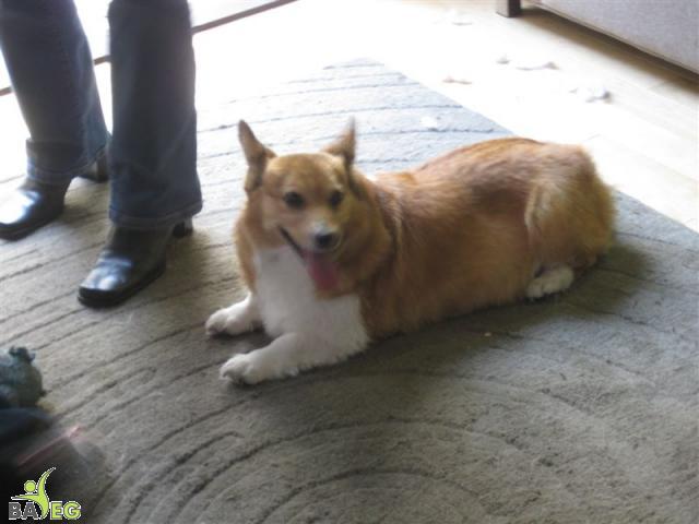 Mindy