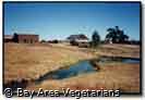 Farm Sanctuary