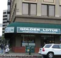 Golden Lotus Golden Lotus